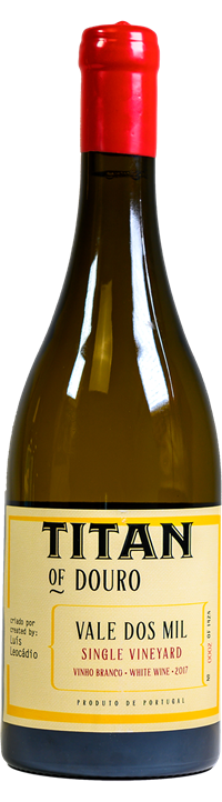 Garrafa Vale dos Mil Branco 2017